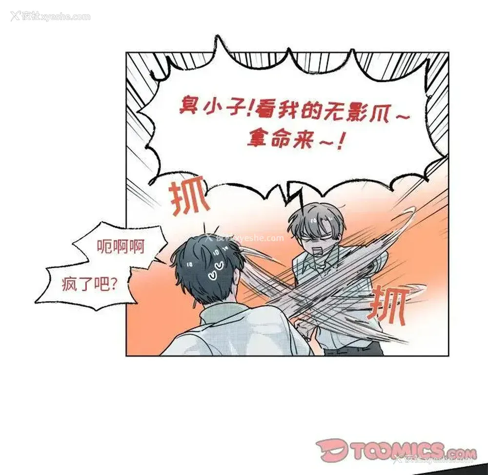 13P - 心跳维他命