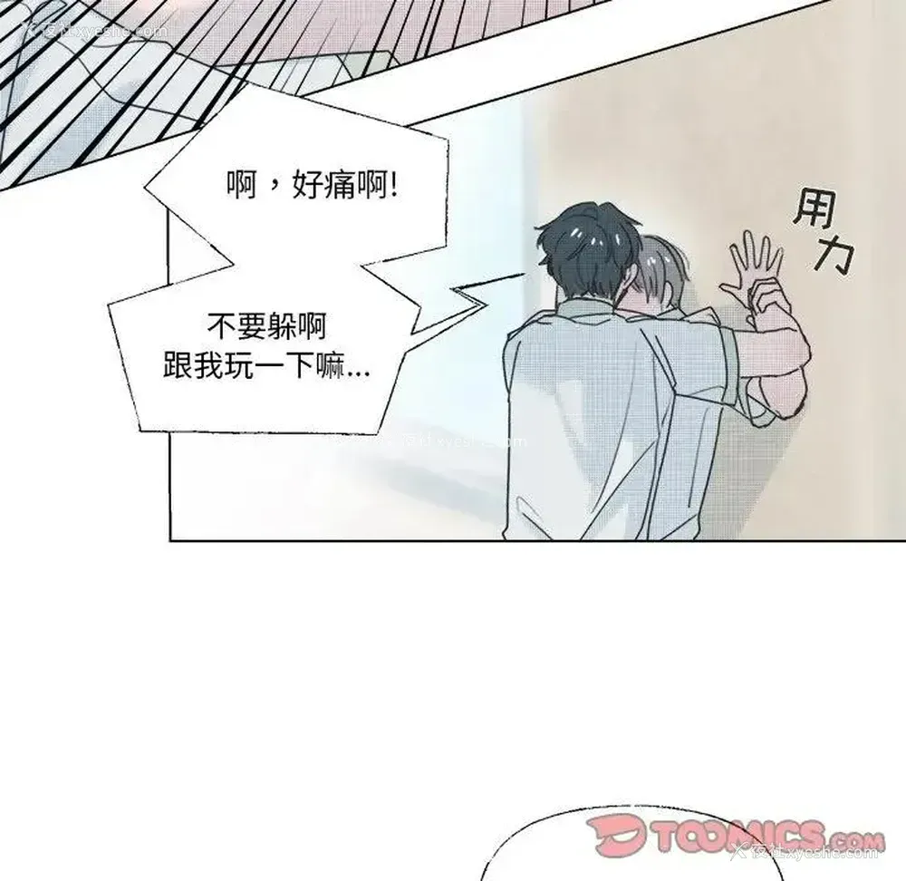 28P - 心跳维他命