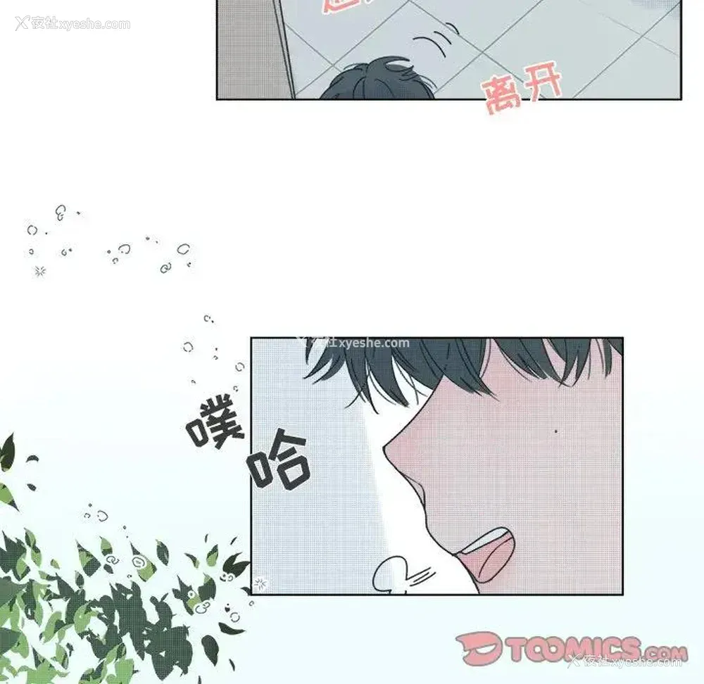 40P - 心跳维他命