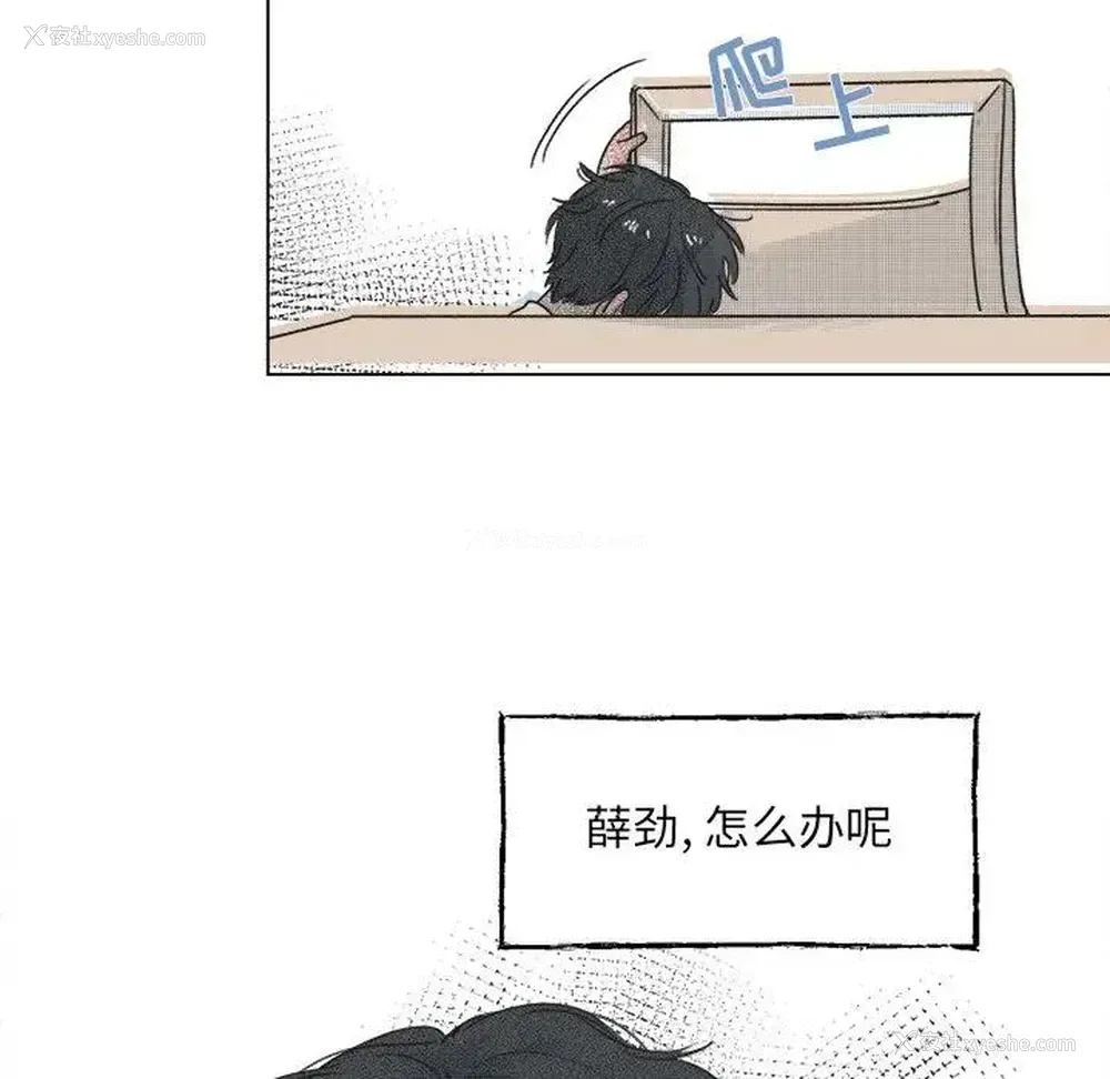 51P - 心跳维他命