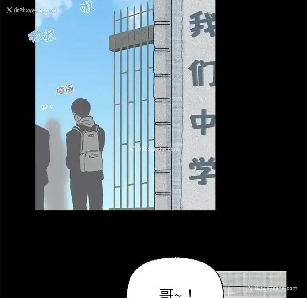 29P - 心跳维他命