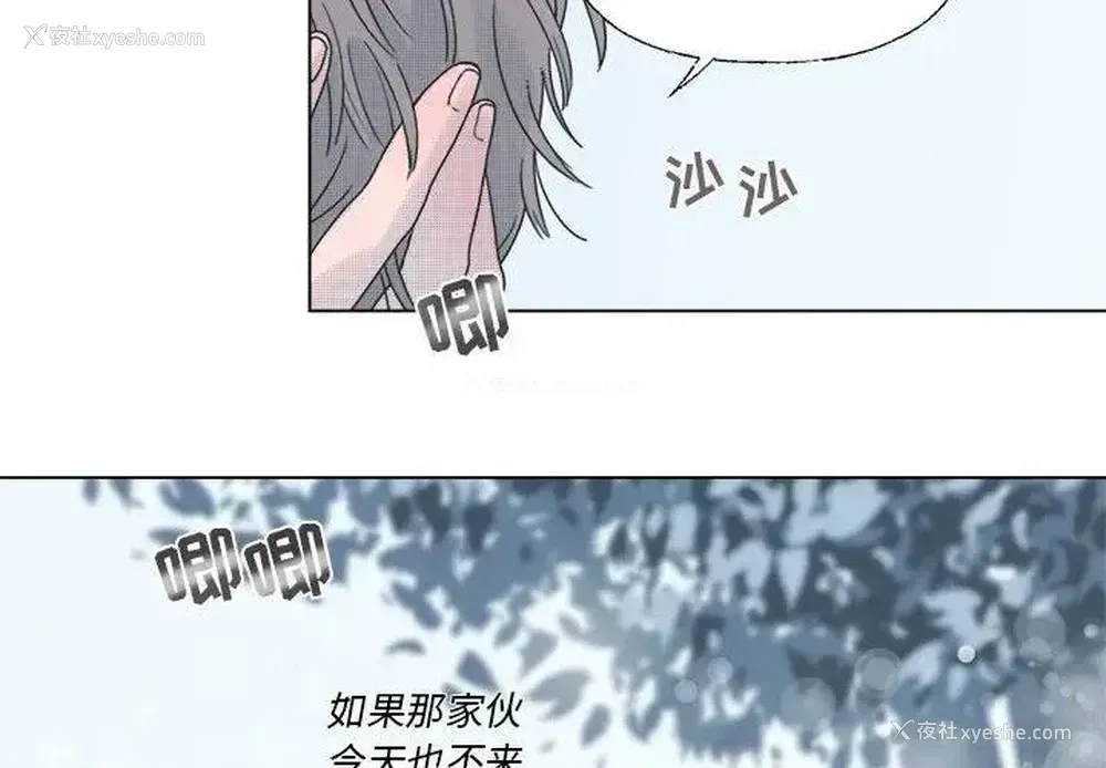 3P - 心跳维他命
