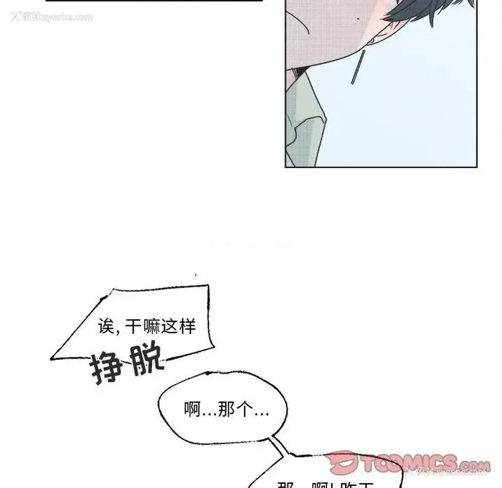 43P - 心跳维他命