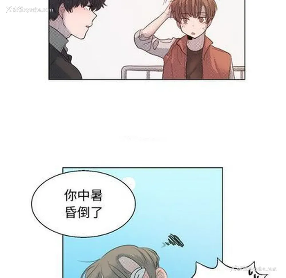 15P - 心跳维他命