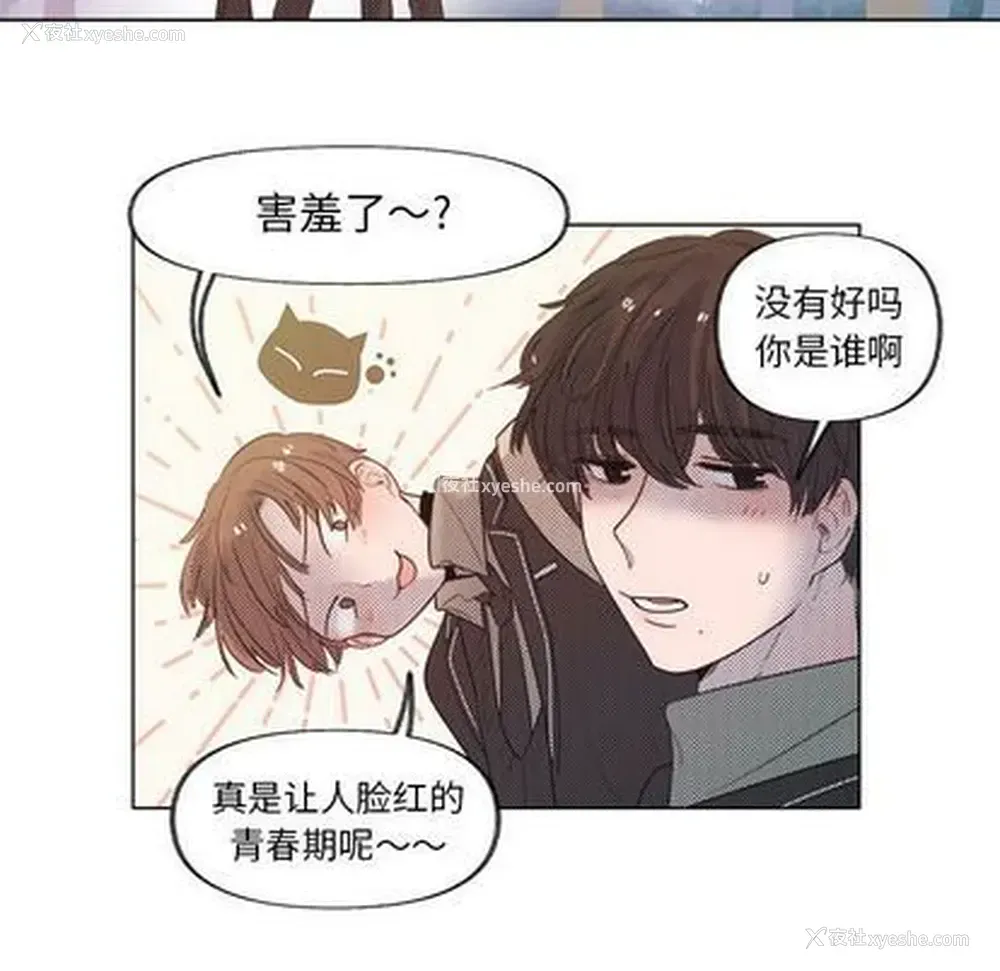43P - 心跳维他命