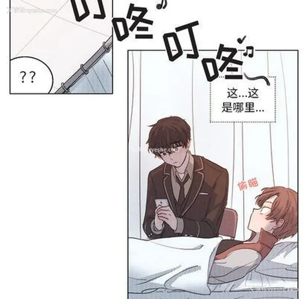 7P - 心跳维他命