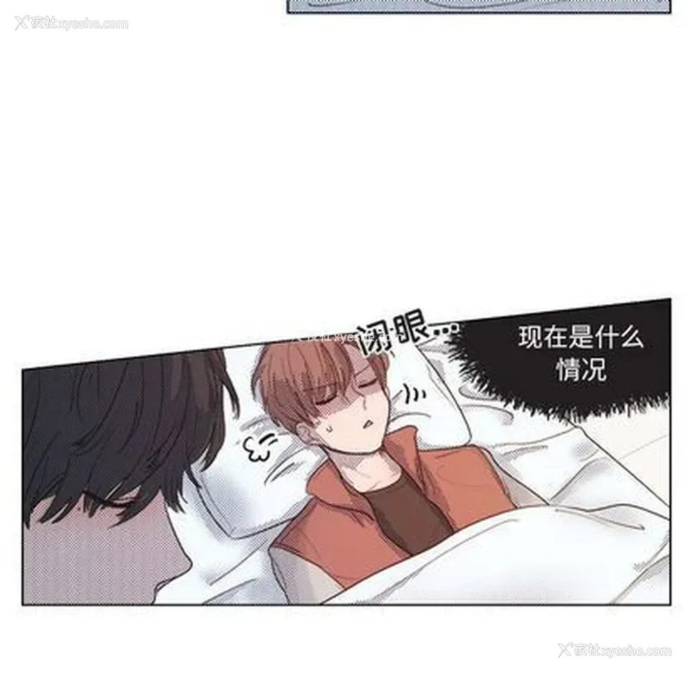 8P - 心跳维他命