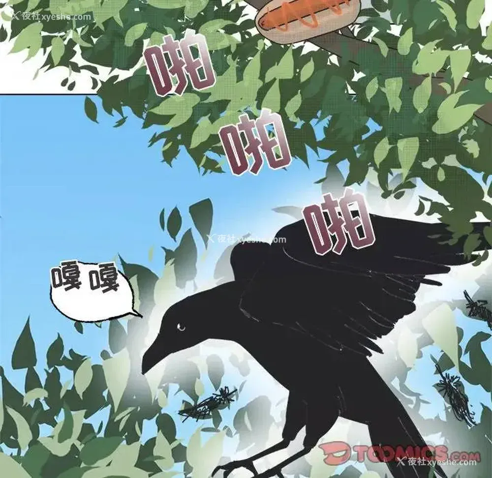 13P - 心跳维他命