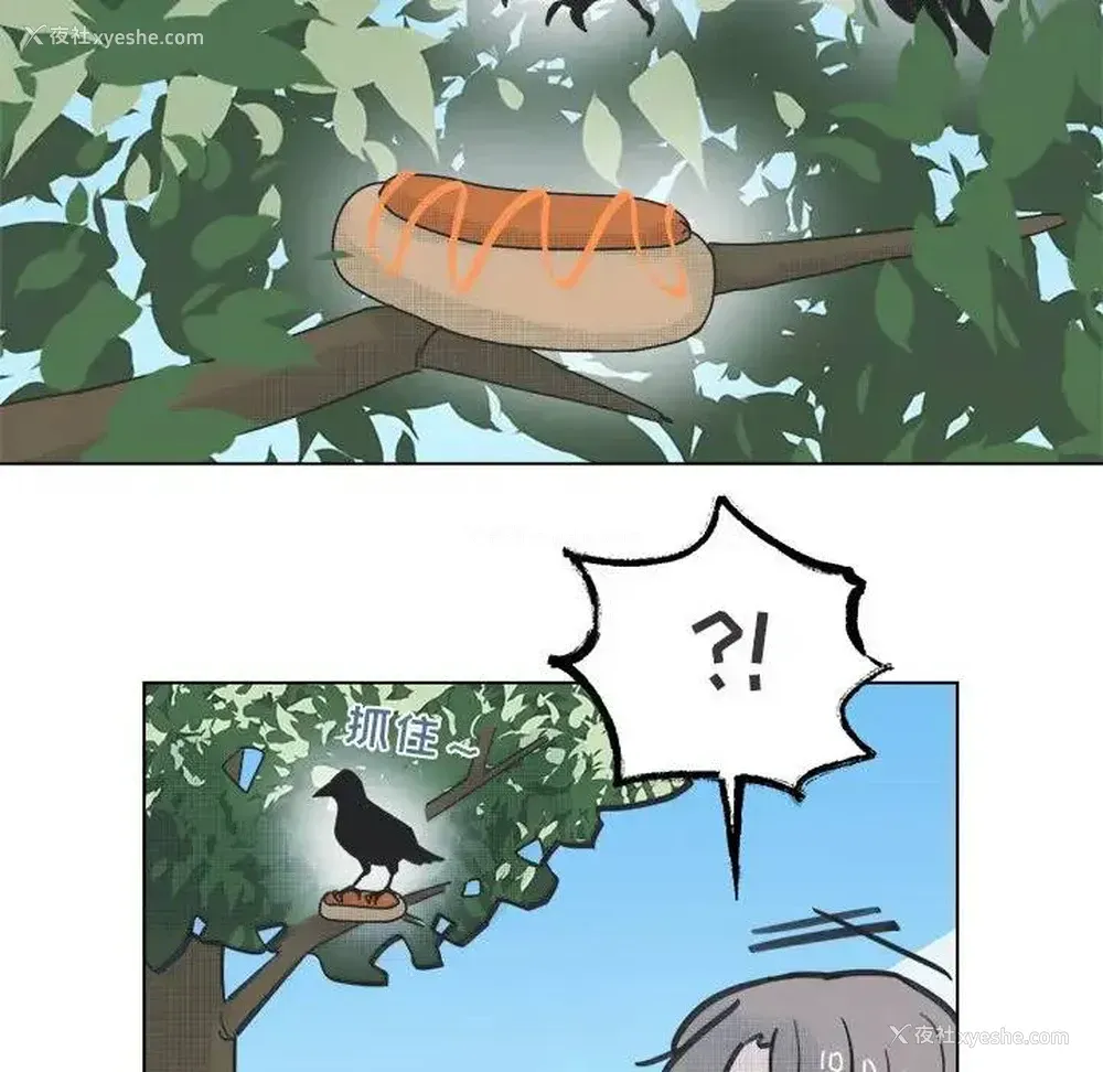 14P - 心跳维他命