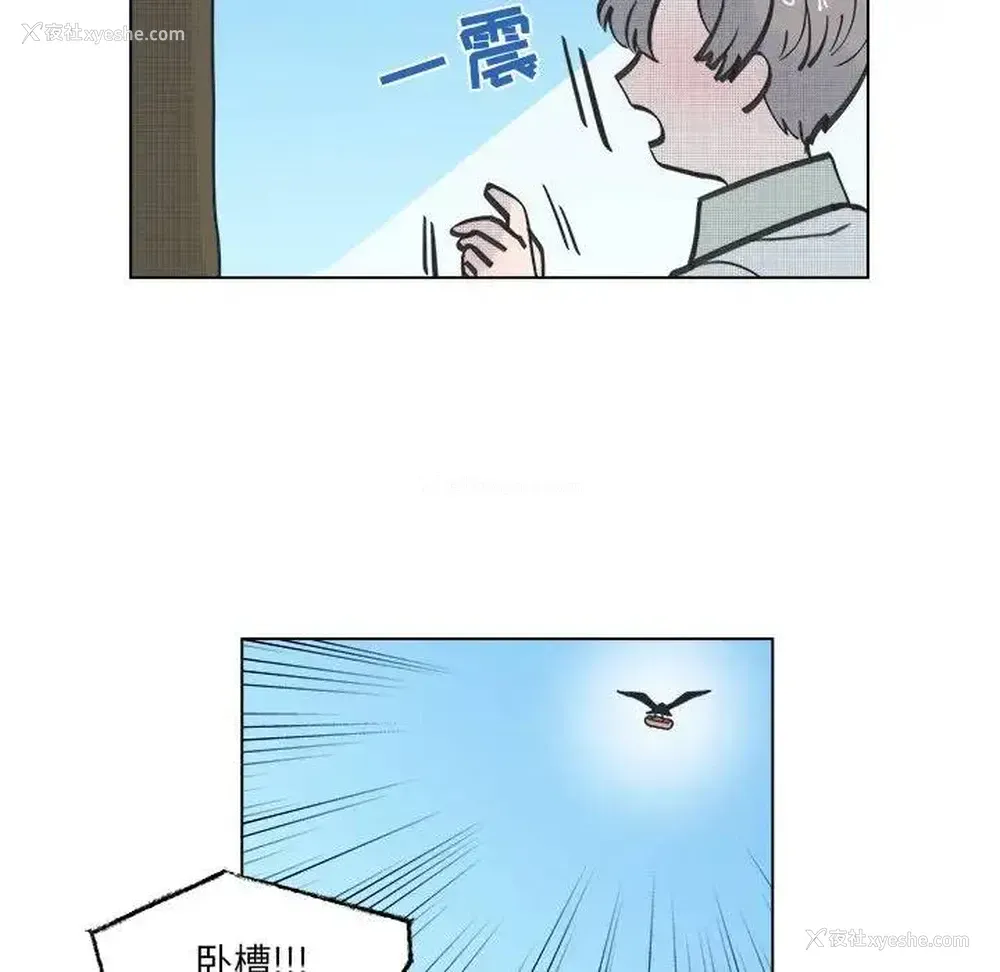 15P - 心跳维他命