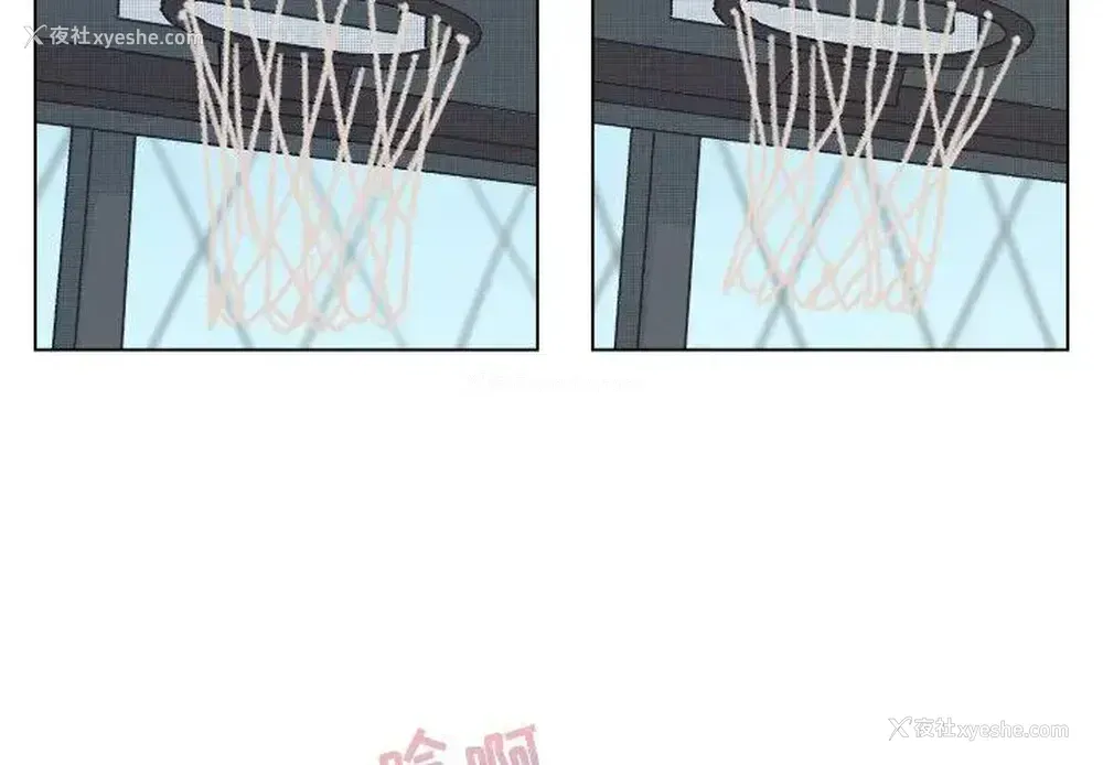 2P - 心跳维他命