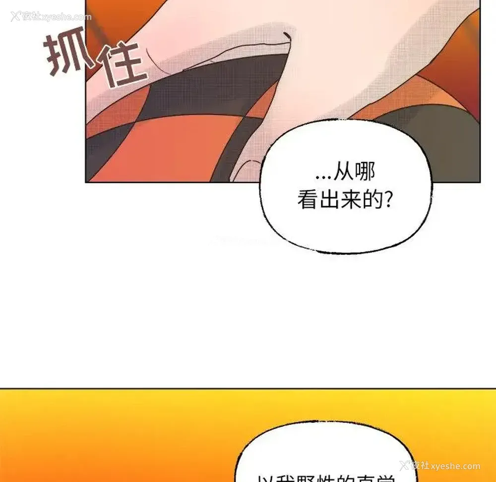 44P - 心跳维他命