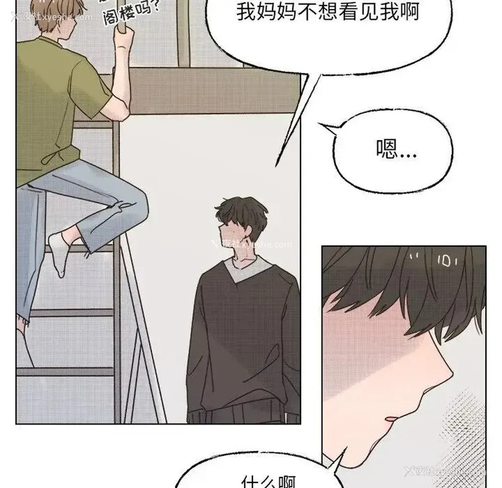 29P - 心跳维他命