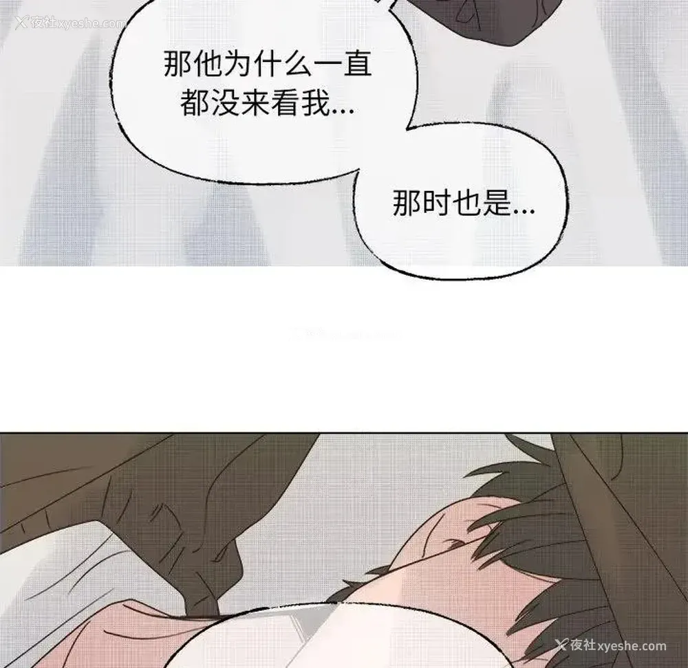 36P - 心跳维他命