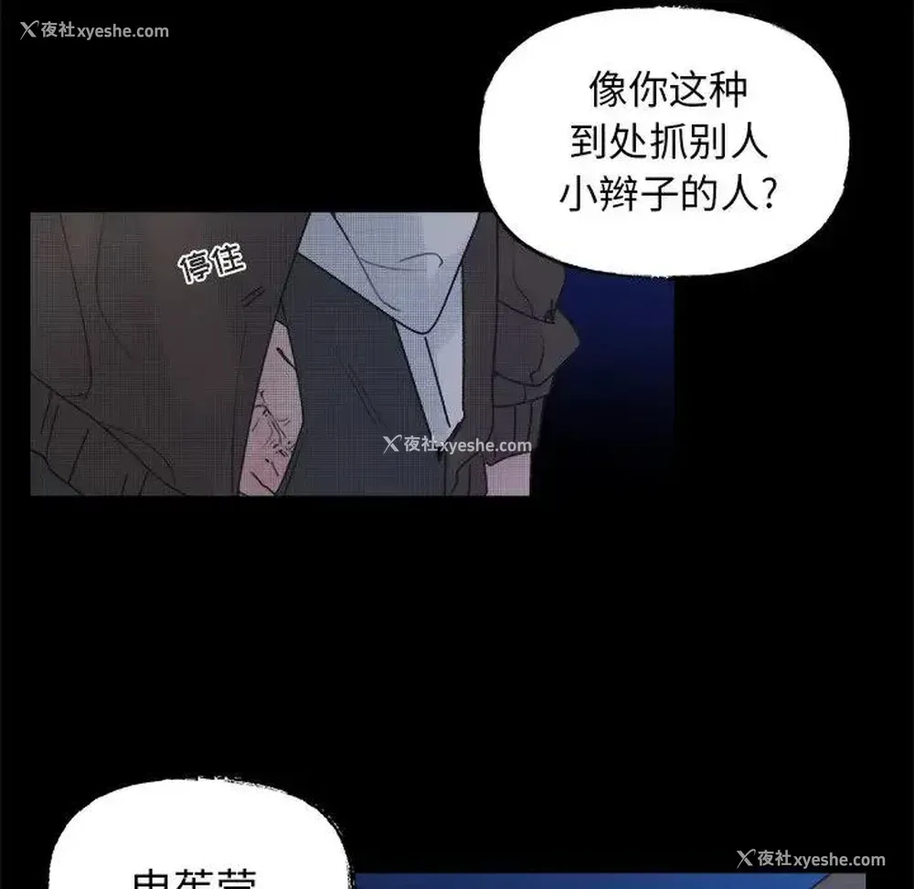 12P - 心跳维他命