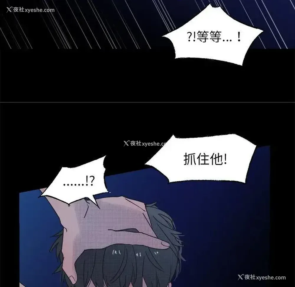 24P - 心跳维他命
