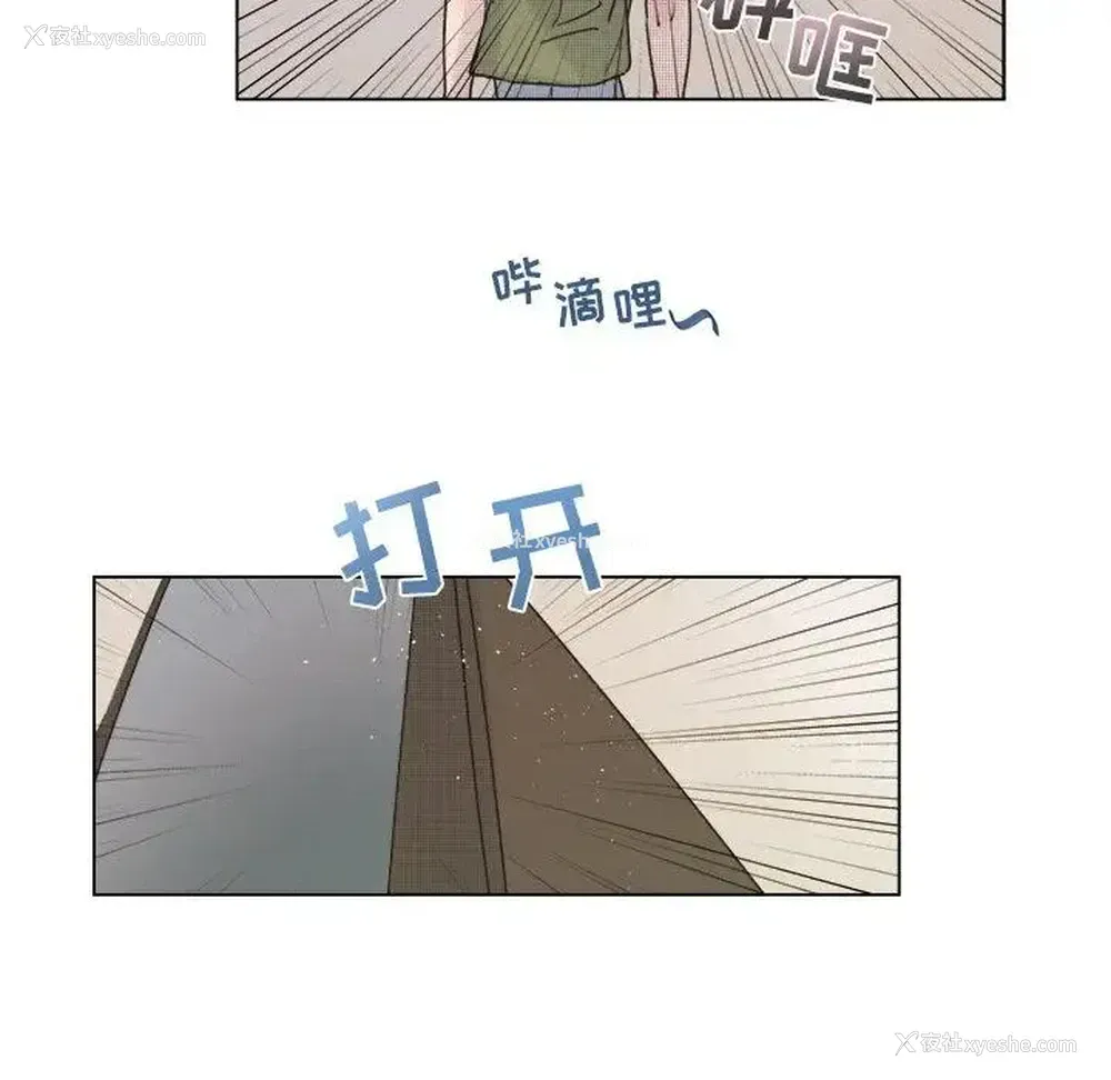 50P - 心跳维他命
