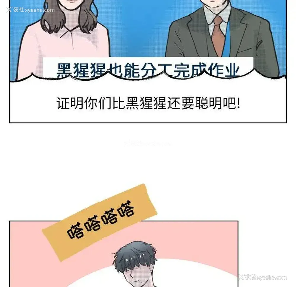 44P - 心跳维他命