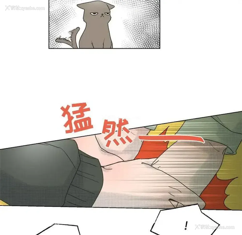 17P - 心跳维他命