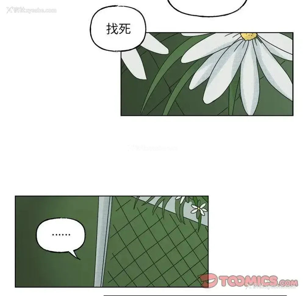 31P - 心跳维他命