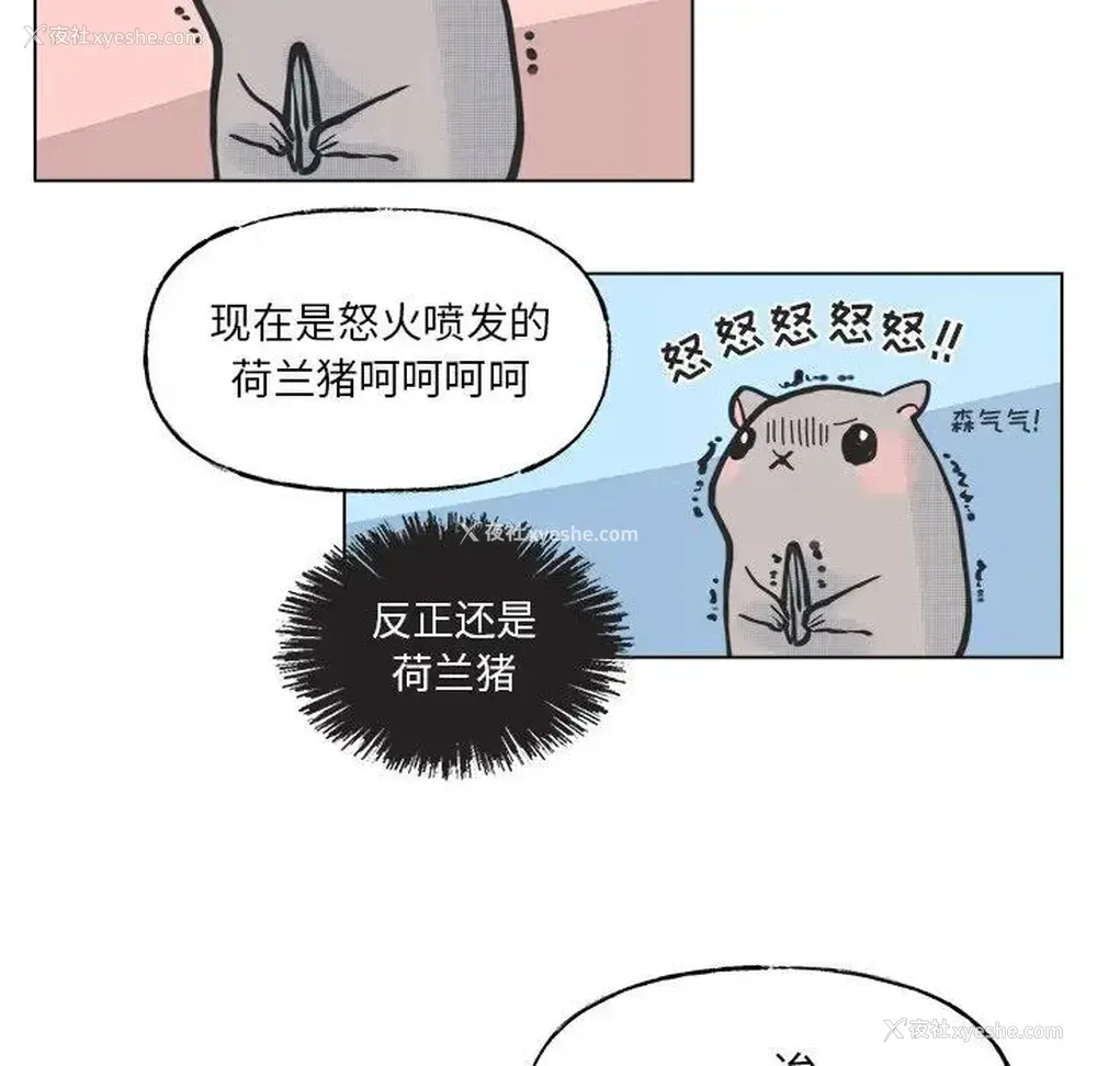 26P - 心跳维他命