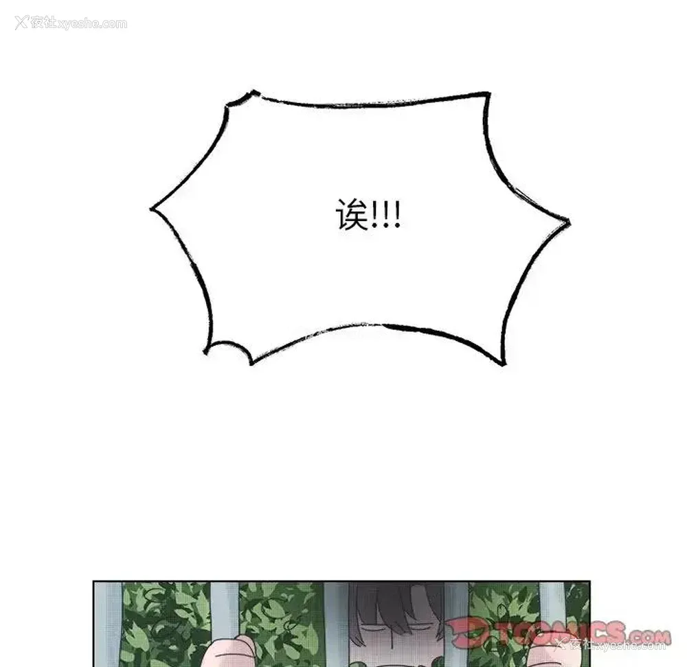 37P - 心跳维他命