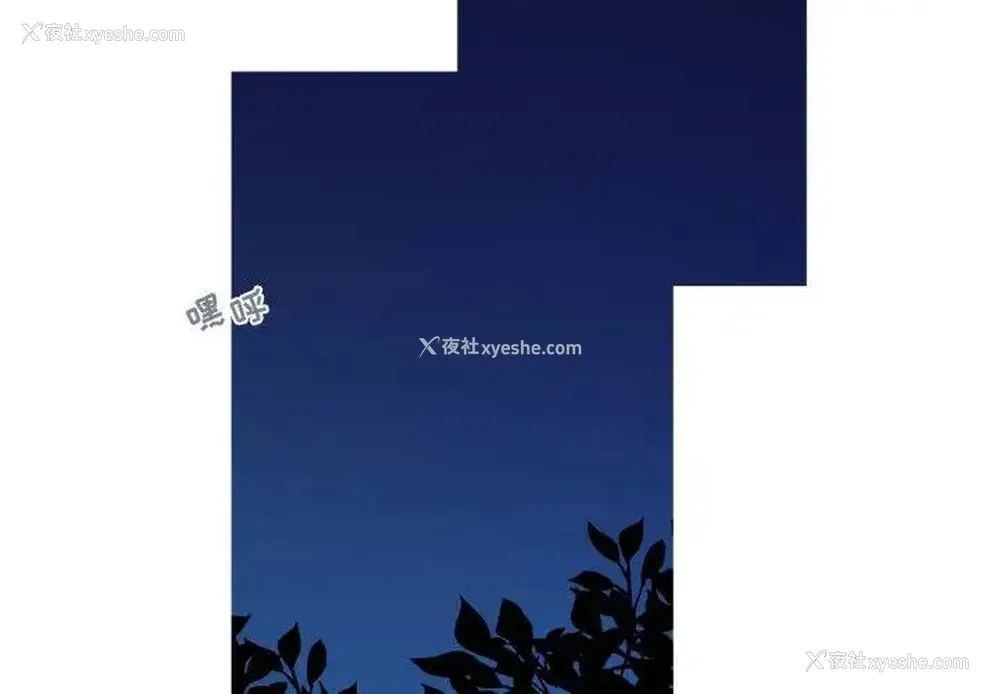 2P - 心跳维他命