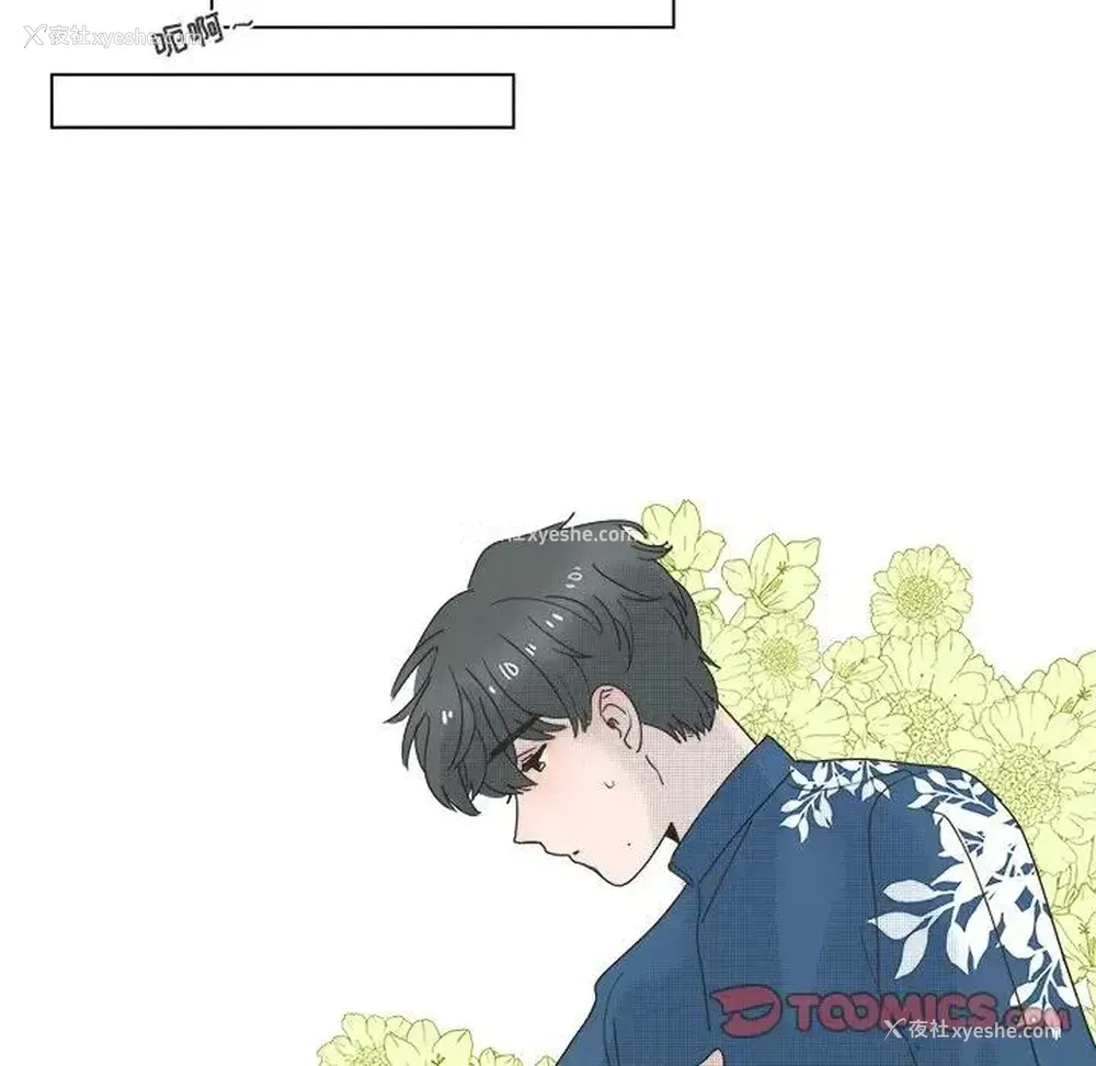 37P - 心跳维他命