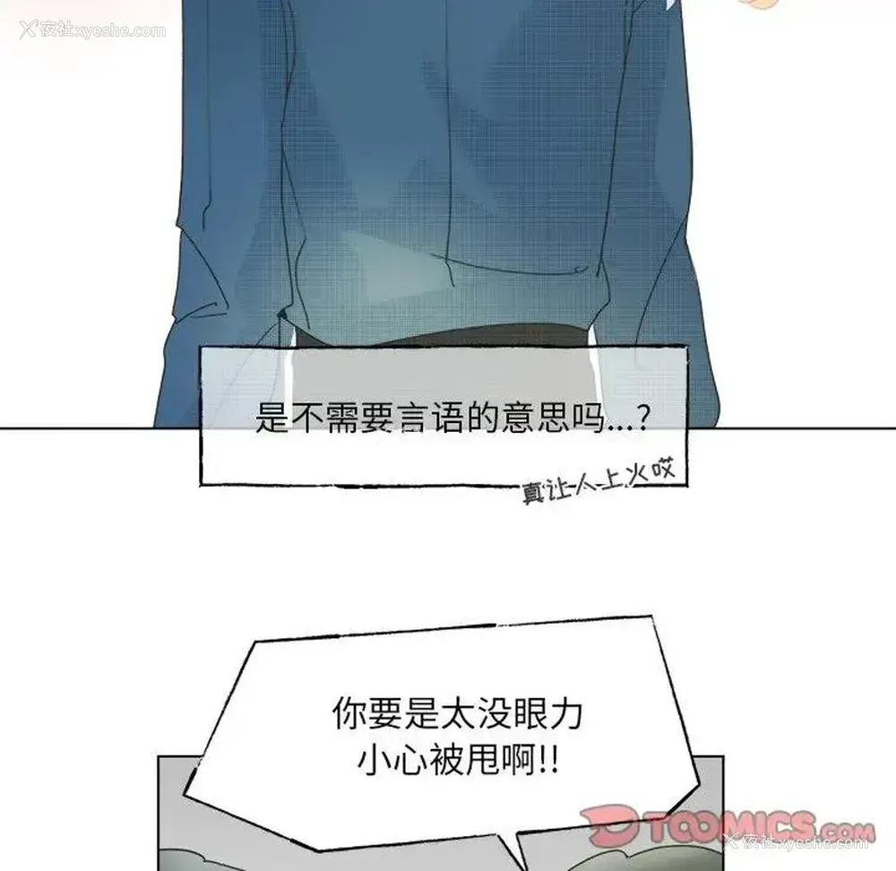 43P - 心跳维他命