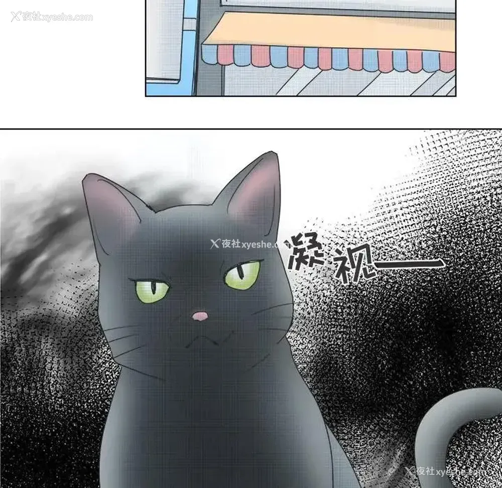 38P - 心跳维他命