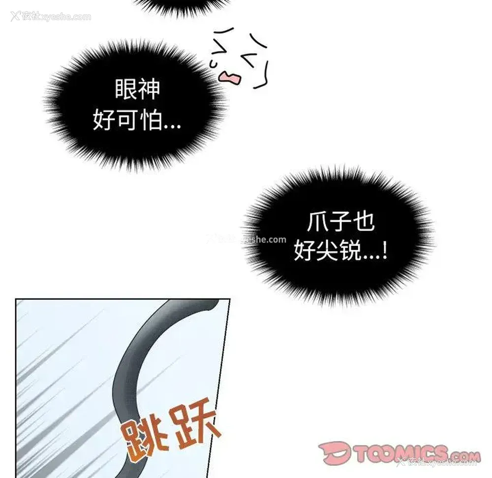 40P - 心跳维他命