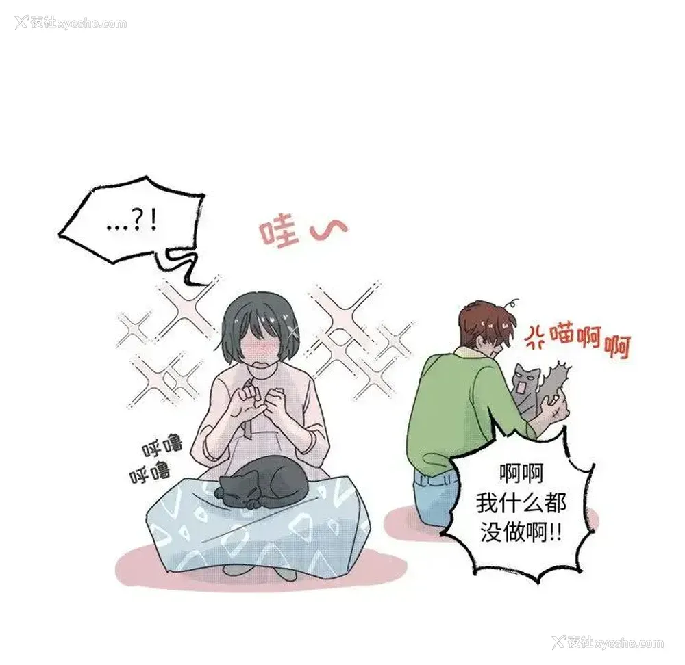 42P - 心跳维他命
