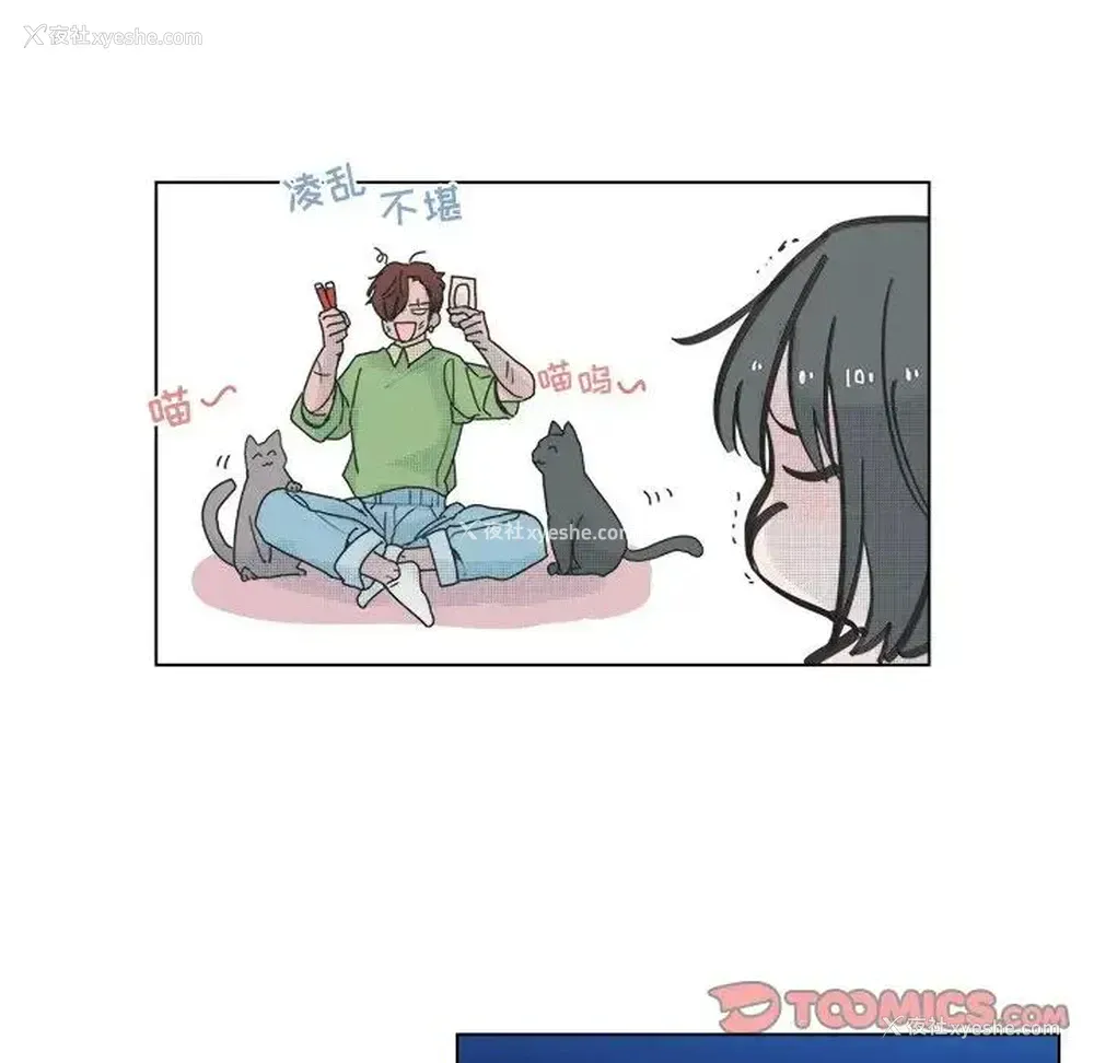 43P - 心跳维他命
