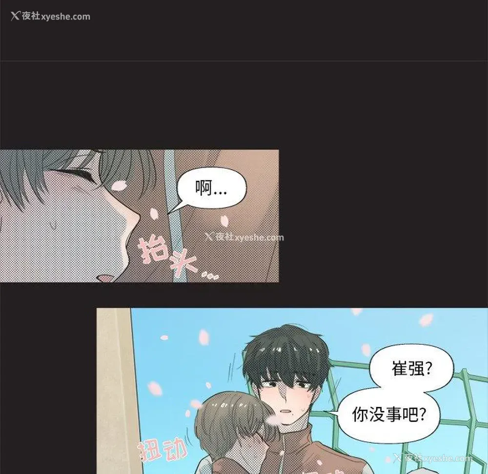 42P - 心跳维他命