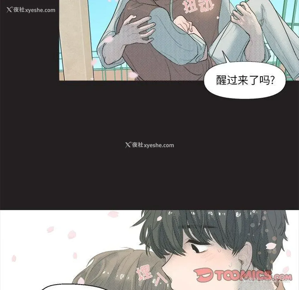 43P - 心跳维他命