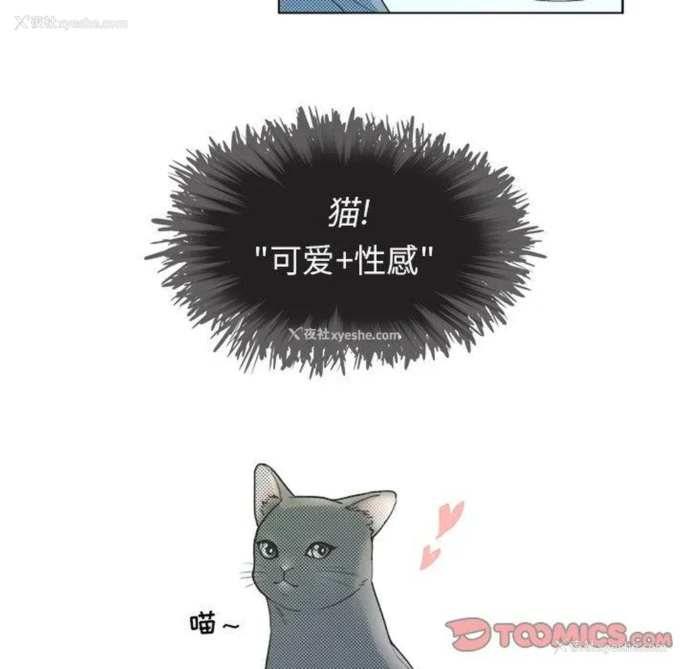 43P - 心跳维他命