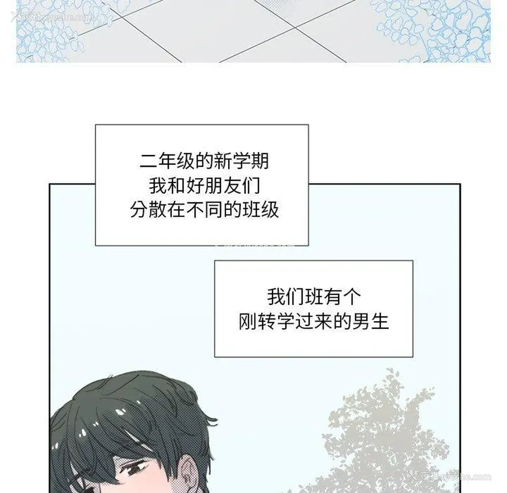 39P - 心跳维他命