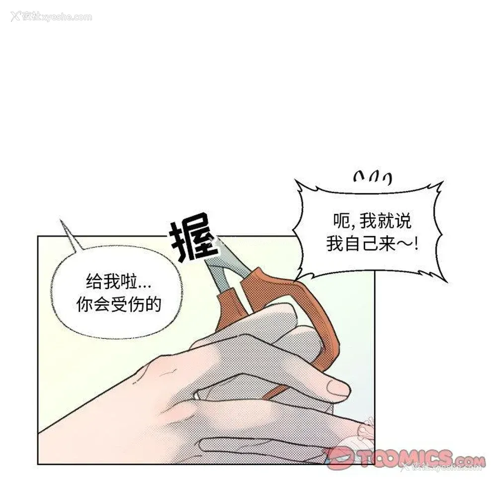 13P - 心跳维他命