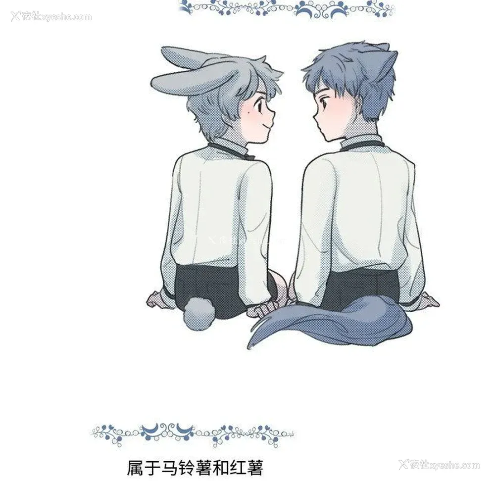 21P - 心跳维他命