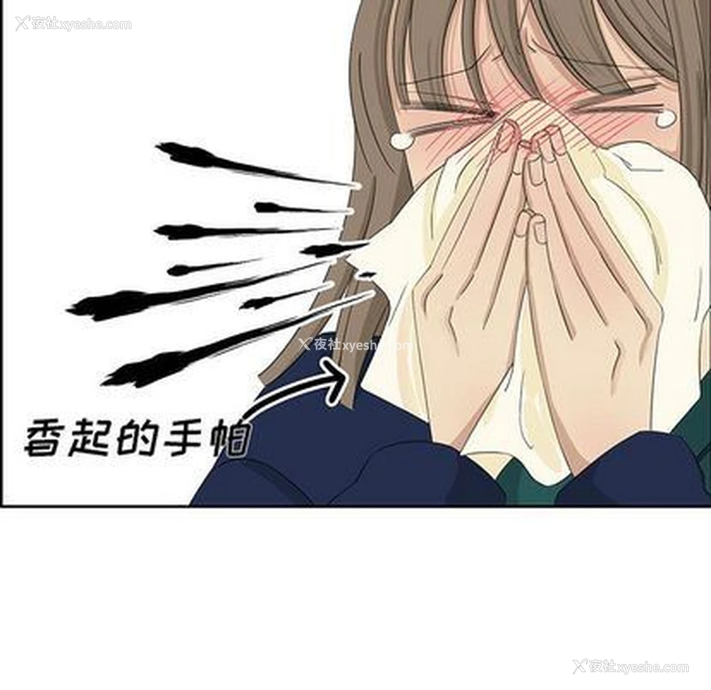 48P - 恋爱新手