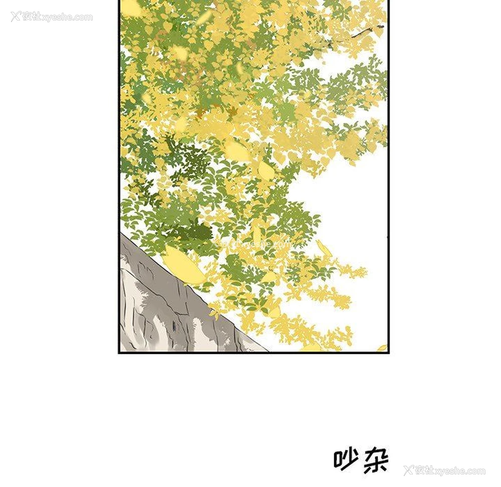 5P - 恋爱新手