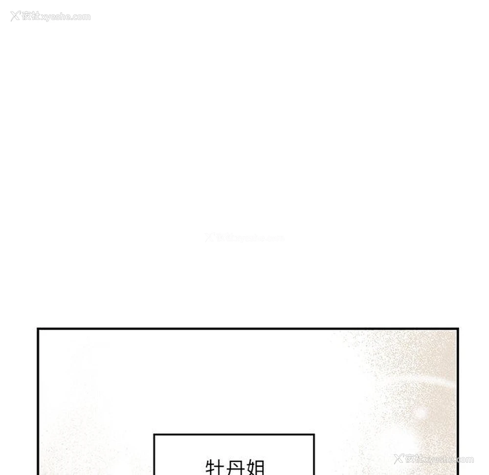 44P - 恋爱新手
