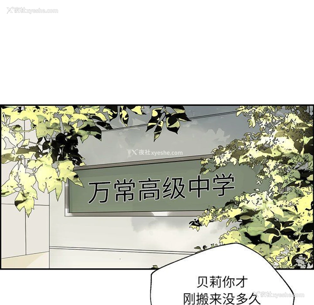 52P - 恋爱新手