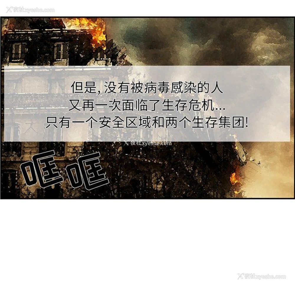 24P - 恋爱新手