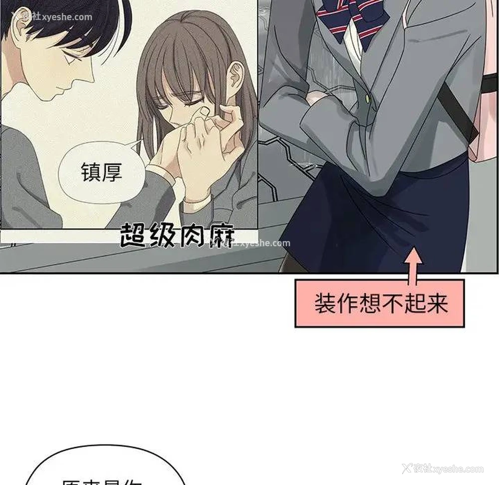 44P - 恋爱新手