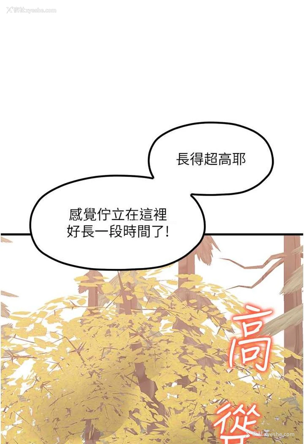 40P - 花店三母女