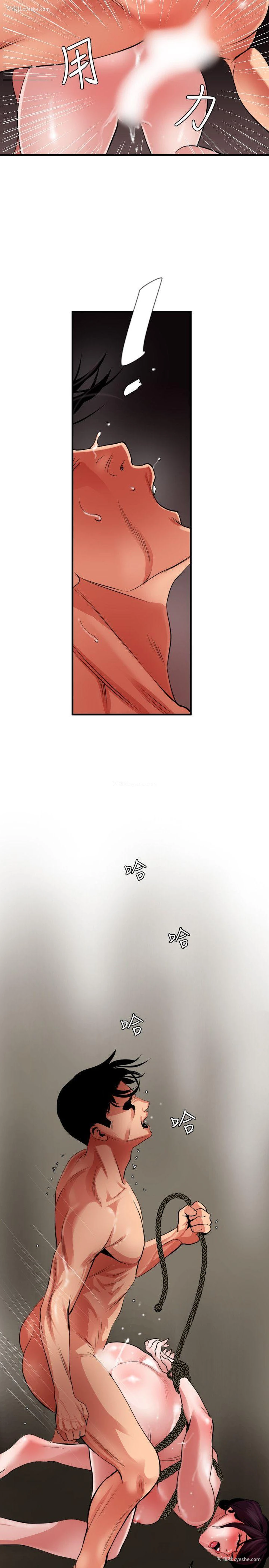 9P - Super Dick