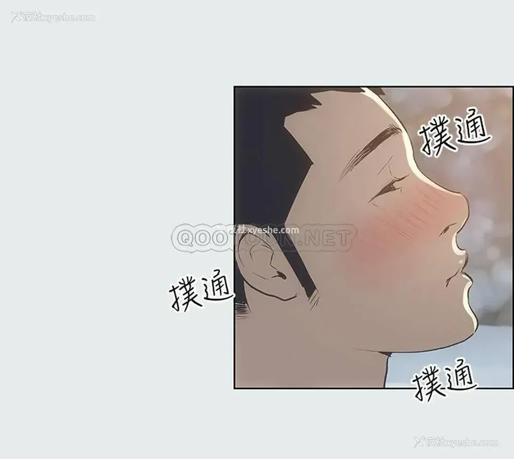 29P - 纵夏夜之梦