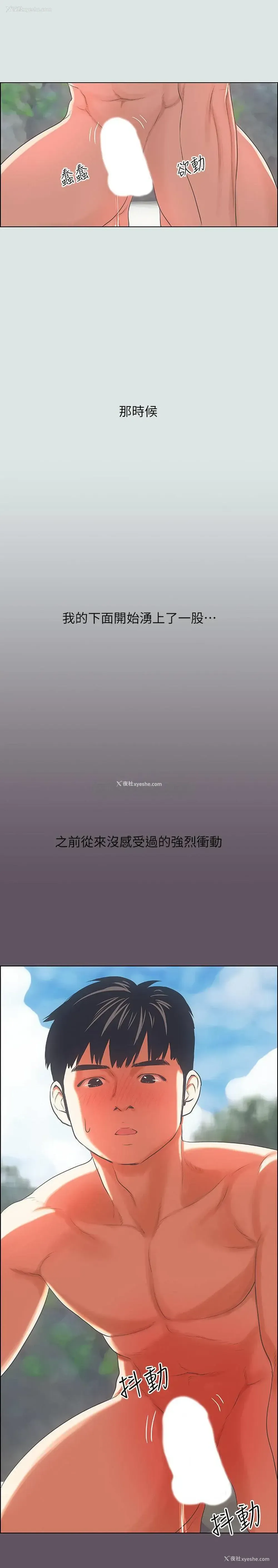 12P - 纵夏夜之梦
