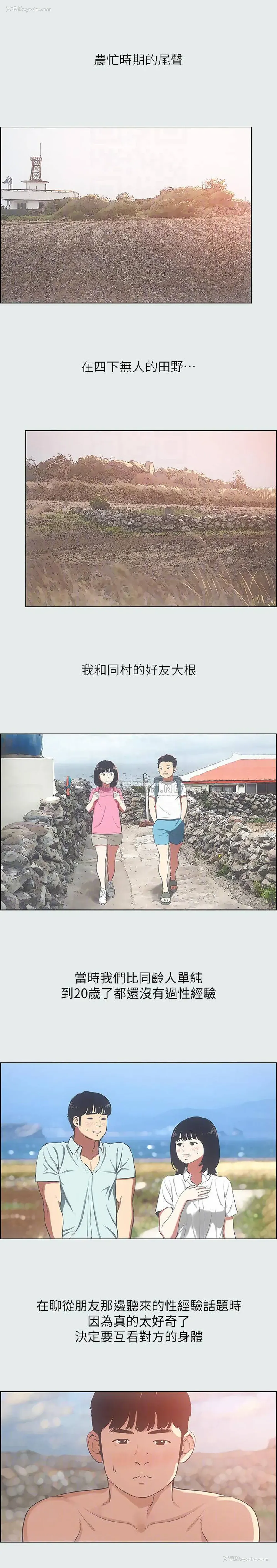 12P - 纵夏夜之梦